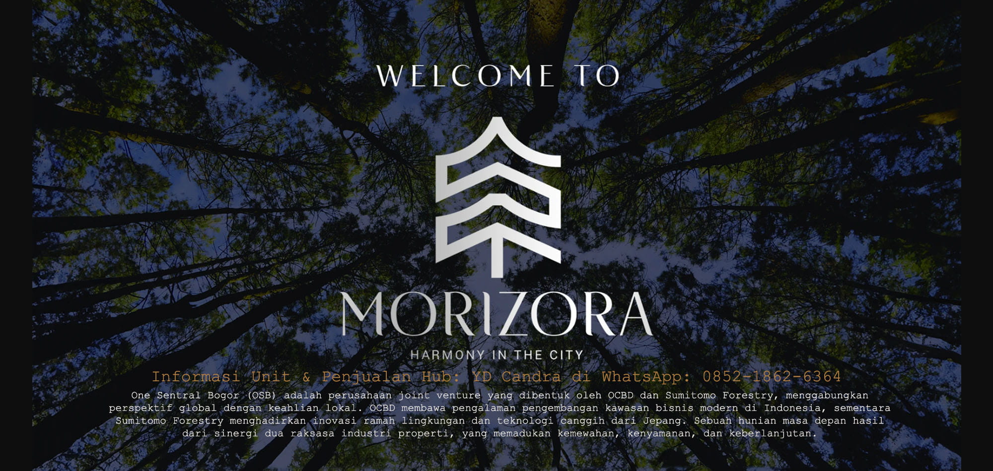 morizora logo